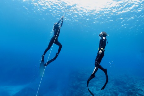海洋でのPADIフリーダイビング講習