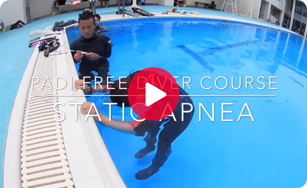プールトレーニング スタティック・アプネア